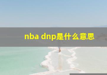 nba dnp是什么意思